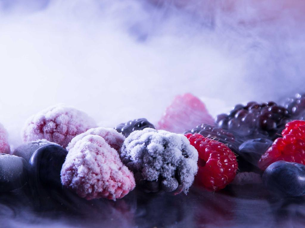 HACCP 심사 준비를 위해 위해요소 분석서와 CCP 기록, 현장 위생 상태를 함께 점검하는 모습